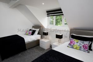 gorgeous the copse 13.jpg